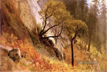  Kalifornien Galerie - Landschaft Study Yosemite Kalifornien Albert Bierstadt